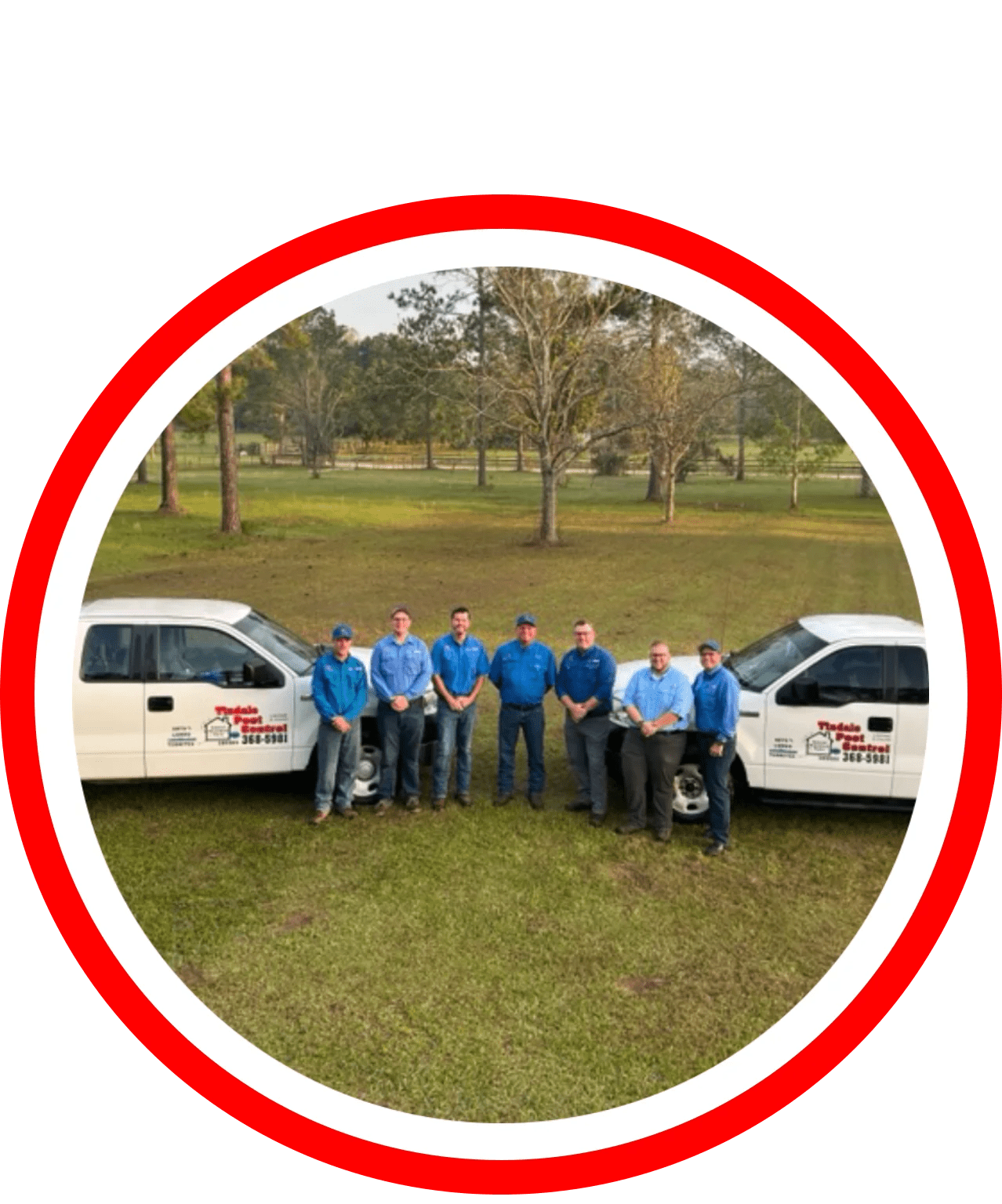 Tindale Pest Control Ocala